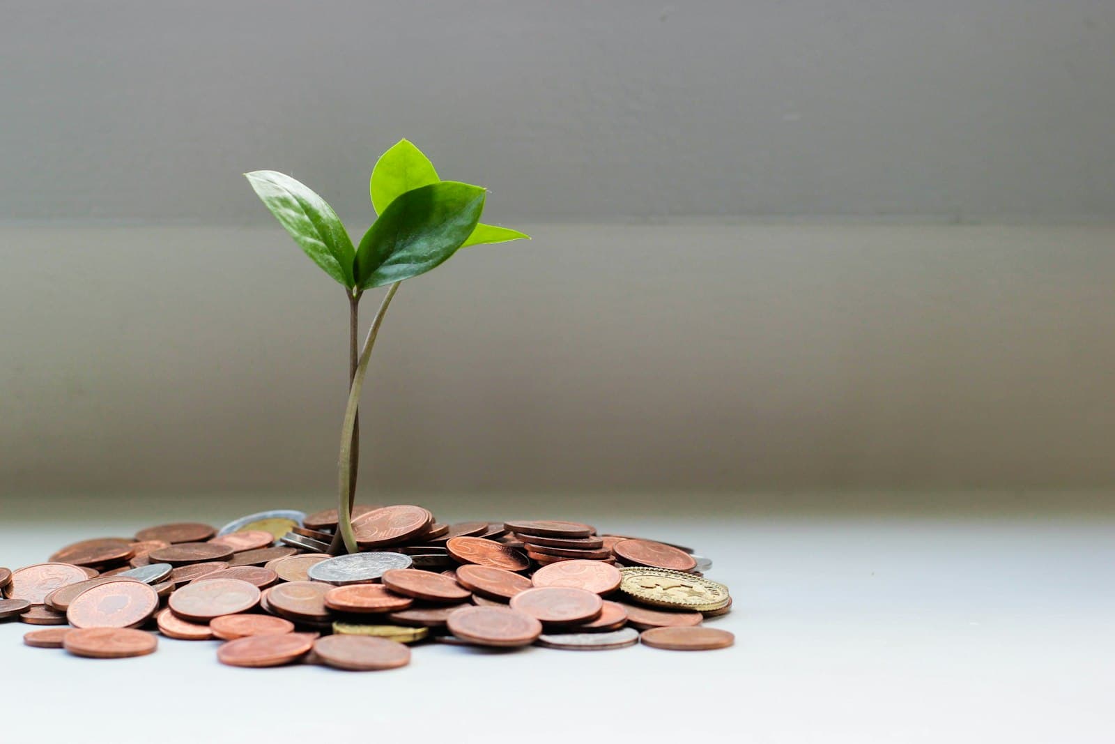 Fractional credit and collections